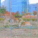 일루와농장 이미지