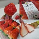 탑마트 | 탑마트 행사 산청 장희딸기 내돈내산 후기