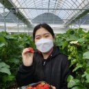 늘해랑농장 이미지