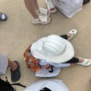 (주)에버클린 | 캐리비안베이 하이시즌 주말 오픈런 평일 대비 붐비는 정도 아이랑 가족샤워실 이용팁