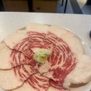 강동갈빗살 이미지