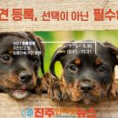 약초동물병원 이미지