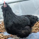 아성슈퍼 이미지