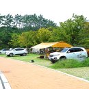 남산공원오토캠핑장 이미지