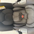 Infant Car seat 이미지