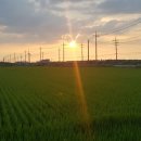 부안사슴농장 이미지