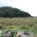 횡성군둔내면화동보건진료소 이미지