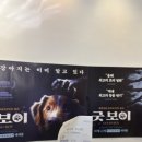 메디트론 | 10月 영화 기록 (1)