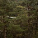 취산 Daum카페