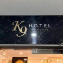K9명동호텔 이미지