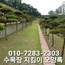 수목장 가격 수목장 방법 양평 수목장 은 용인 수목장 입니다 이미지