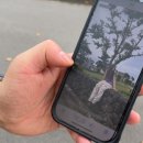 마레보휴양펜션 이미지