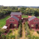 제주독채펜션자쿠지감성숙소구르미별동 이미지