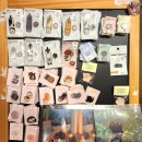 없지만 고양이 굿즈 한가득이라 더더 귀여운 건대 고양이 컨셉 카페 냥토피아 또간집 내돈내산 후기