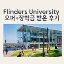 호주 플린더스 대학교 오퍼+장학금 받은 후기