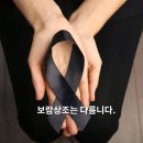 보람상조라이프 | [공지] 보람상조 크루즈 가전결합 사은품 후기 라이프쉴드서비스