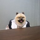 어원식당 이미지