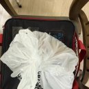 선진로 | [화성]화성배달도시락 가능항 점심도시락 전문 배달업체 단짠도시락 이용 후기