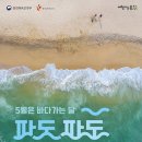 바다 이미지