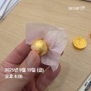 세종한의원 | 세종시 공진단 한의원 원장직접조제 복용 후기