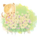 카페트윈즈