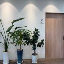 종가면옥 | [충남 아산] 현지인 추천 냉면 맛집⭐️ 종가면옥 ⭐️ 내돈내산 후기