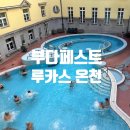 하니온천 | 부다페스트 온천 즐기기, 루카스 온천 체험 후기