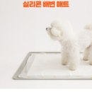 바잇미 이미지