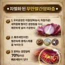 동맥과 정맥 혈액순환 이미지