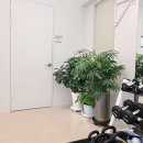 닥터포바디 퍼스널 트레이닝 이미지