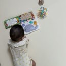 멍멍아 놀자 | 7개월아기 장난감 추천, 실사용 후기