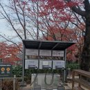 초안산헬기장 이미지