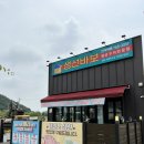 생선바보 이미지