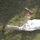 거원중학교 앞 | 꽃잎들이 모여 세상을 밝히더라