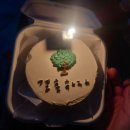 은파피아노학원 | 대전 결혼준비, 남자친구 프로포즈 성공, 깜짝 프러포즈 받은 썰/차 트렁크 이벤트