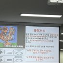 FST오산 | [원장의 일상] 기능적 재활 트레이닝, 단순한 동작에 이런 자극이 올 수 있다니! – FST 교육 후기 1편