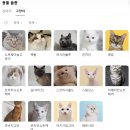고양이 모자 | [여행] 진주 고양이까페 &#39;고양이모자&#39; 후기 (Feat. 초딩딸과 함께)