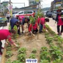 덕계12통 이미지