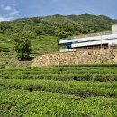 다향유통 이미지