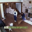 유창민박 이미지