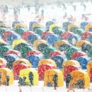 평창송어축제 이미지