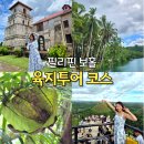 투어닷 | 보홀 육지투어 초콜릿힐 포함 코스 가격 후기