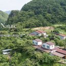 정솔펜션 네이버블로그