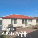 스코리아(청굴물) 이미지