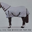 대발목장 네이버블로그