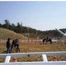 상주국제승마장 이미지
