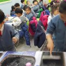 성모남해유치원 이미지