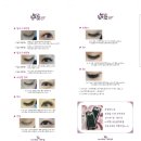 눈썹쟁이 이미지