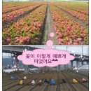 사구실농원 이미지