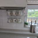 솔레올레 이미지